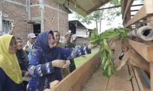 Ketua TP PKK Luwu Serahkan Bantuan Percepatan Penghapusan Kemiskinan Ekstrim