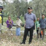 Pj Walikota Didampingi Kadis Pertanian Tinjau Lahan Penanaman Pisang di Kelurahan Peta