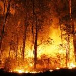 Warga Buntu Karua Toraja Utara Mengusi Disebabkan Kebakaran Hutan Sulae Meluas
