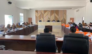 Anggota DPRD Cendrana Usulkan Perampingan OPD Pemkot Palopo