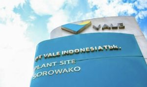 Pemerintah Perpanjang Kontrak PT Vale Indonesia Hingga 20 Tahun