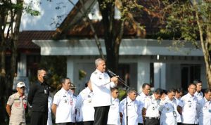 Pemkab Luwu Siapkan Rp 11 Miliar Gaji Bagi PPPK 2024