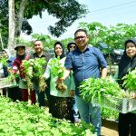 Kunjungi Kelompok Wanita Tani, Pj Walikota Palopo Edukasi Masyarakat Agar Gemar Menanam Sayur