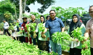 Kunjungi Kelompok Wanita Tani, Pj Walikota Palopo Edukasi Masyarakat Agar Gemar Menanam Sayur
