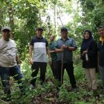 Penjabat Walikota Palopo Asrul Sani Tinjau Hutan Kota Bukit Lewadang