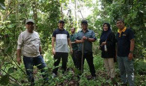 Penjabat Walikota Palopo Asrul Sani Tinjau Hutan Kota Bukit Lewadang