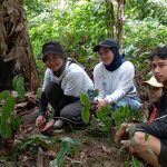Gandeng Mapala Unanda, Perumda TM Tanam 100 Pohon di Bantaran Sungai Intek Mangkaluku