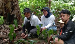 Gandeng Mapala Unanda, Perumda TM Tanam 100 Pohon di Bantaran Sungai Intek Mangkaluku