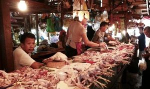 Lembaga Dunia FAO Sebut Harga Pangan Global Turun 13,7 Persen