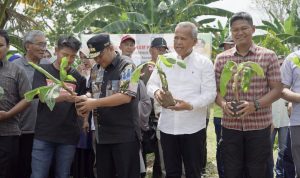 Berkunjung Ke Luwu, Pj Gubernur Sulsel Beberkan Langkah Strategis Menuju Sulsel Emas 2045