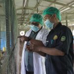 Asrul Sani Ingin Kembangkan Produksi Ayam dan Telur Berkualitas