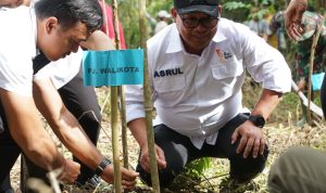 Pj Wali Kota Palopo Ikut Menanam Pohon di Bukti Lewadang