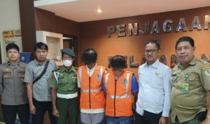 Gakkum KLHK Sulsel Tangkap Dua Pelaku Perusakan Cagar Alam Faruhumpenai Luwu Timur