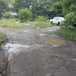 Terkesan Tak Terurus, Kawasan Parkir Kantor Pemkab Luwu Ditumbuhi Rumput Lebat