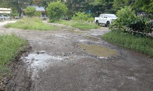Terkesan Tak Terurus, Kawasan Parkir Kantor Pemkab Luwu Ditumbuhi Rumput Lebat