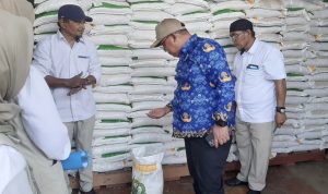 Cek Kualitas Beras di Gudang Bulog, Asrul Sani : Berasnya Bagus, Wapim Bulog Sebut Beras Impor Dari Vietnam