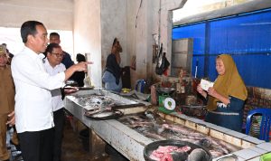 Kunjungan Kerja ke Sulawesi Selatan, Presiden Jokowi Kunjungi 5 Kabupaten