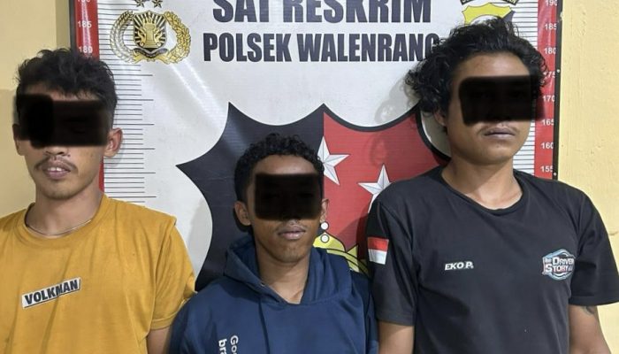 Polsek Walenrang Ungkap Kasus Pencurian Mesin Traktor, 3 Pelaku Ditangkap