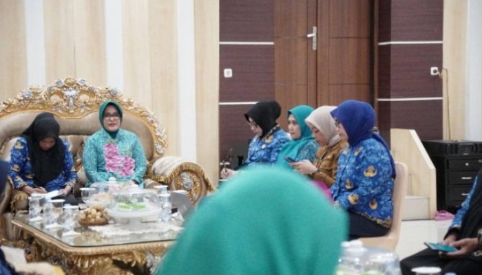 TP-PKK Kota Palopo Gelar Pertemuan Pokja untuk Persiapkan Program Kerja TA. 2025