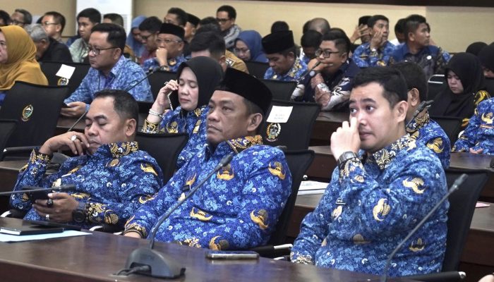 Bupati Luwu Hadiri Rapat Pleno TPAKD dan Pengukuhan Kepala OJK SulSelbar