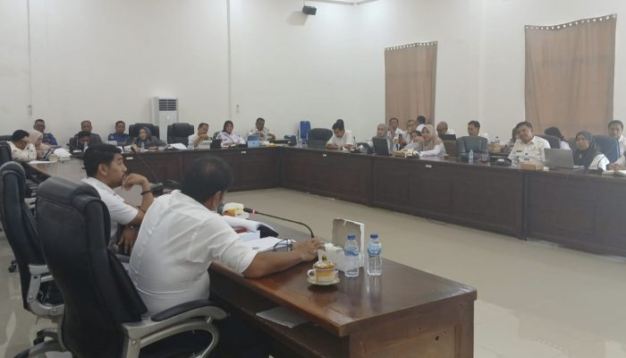 Banggar DPRD Soroti Realisasi PAD RSUD Palemmai Tandi dalam Pembahasan LKPJ Wali Kota Palopo 2024
