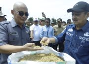 Panen Raya Serentak, Kota Palopo Terhubung Langsung Dengan Presiden Probowo