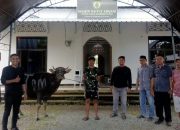 Idul Adha 1446 H, PT BMS Tebar Kepedulian Lewat Sapi Kurban di Masjid Baitul Arqam Palopo