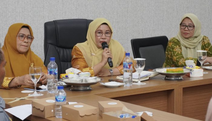 Ketua TP Posyandu Luwu Dorong Transformasi Layanan Posyandu Era Baru
