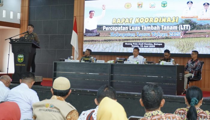 Percepat Tambah Tanam 2025, Pemkab Luwu Tegaskan Komitmen Jadi Lumbung Pangan Nasional