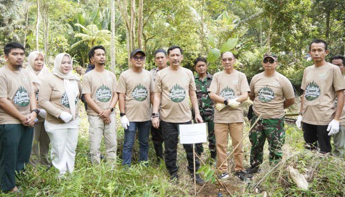 PLN UIP3B Sulawesi Bersama Pemkot Palopo Tanam Bibit Produktif Demi Lingkungan Lestari