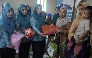 TP-PKK Luwu Gelar Pelatihan Kader Posyandu, Kasus Stunting di Larompong Selatan Turun Drastis