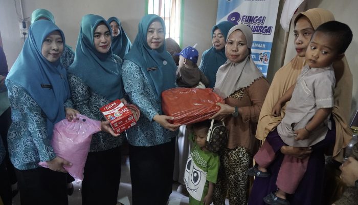 TP-PKK Luwu Gelar Pelatihan Kader Posyandu, Kasus Stunting di Larompong Selatan Turun Drastis
