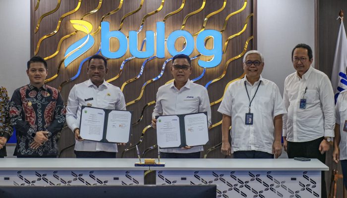 MoU Bulog dan Pemkab Luwu, Dorong Ketahanan Pangan Lewat Sentra Padi