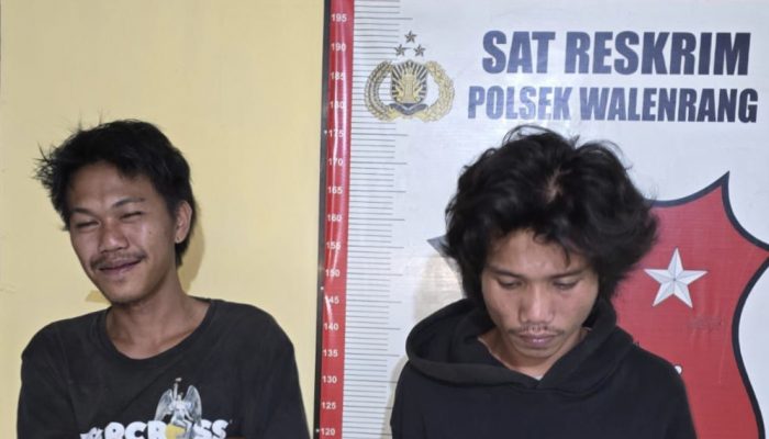 Dua Preman Pemalak Truk di Jalur Trans Sulawesi Dibekuk Polisi