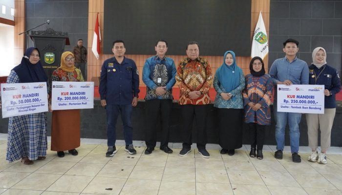 Pemkab Luwu dan OJK Gelar Edukasi Keuangan Bagi Perempuan, Dorong Kemandirian Finansial