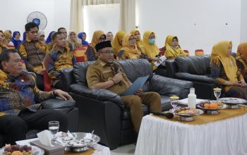 Target Wistara Paripurna, Bupati Luwu Paparkan Capaian 9 Tatanan Kabupaten Sehat