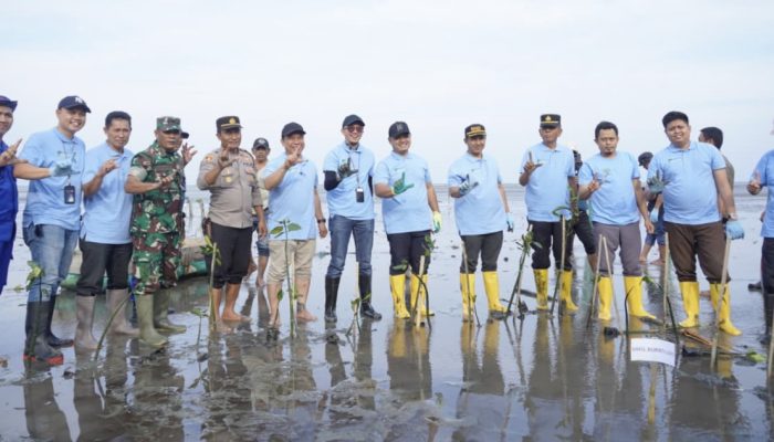 Pemkab Luwu Tanam 1.700 Pohon Mangrove di Pantai Mamunta