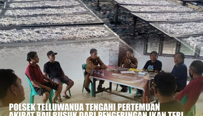 Warga Batu Walenrang Keluhkan Bau dan Limbah Pengeringan Ikan Teri PT Crown Seafood, Tuntut Penghentian Aktivitas