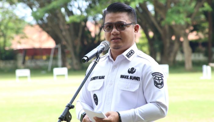Wabup Dhevy Bijak Buka Peringatan HKG PKK Ke-53 di Luwu: Ajak Kader Terus Berinovasi dan Berdaya
