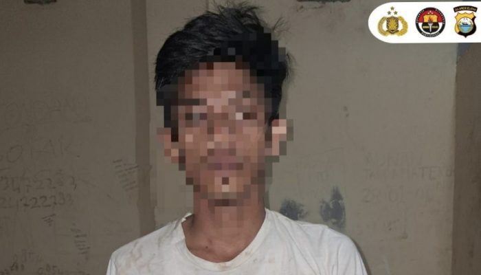 Aniaya Anak Sang Pacar Hingga Meninggal Dunia, Sopir Kadis di Luwu Ditangkap Polisi