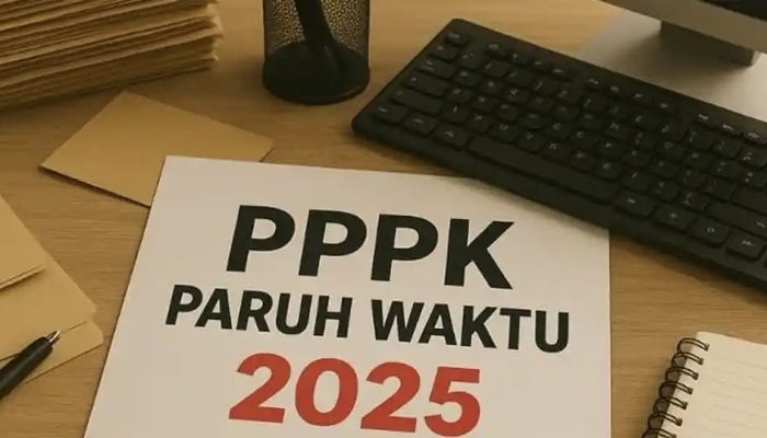 HORE !! 3.300 Honorer di Palopo Segera Dilantik Jadi PPPK Paruh Waktu, Harapan Baru Menjelang Akhir Tahun