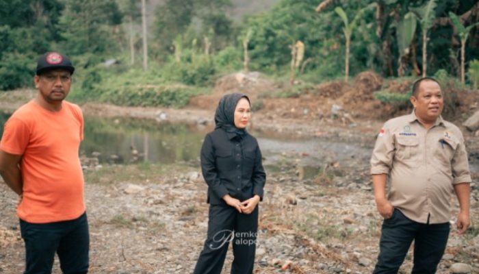 Wali Kota Palopo Tinjau Proyek Irigasi SIPURI di Enam Wilayah, Anggaran Capai Rp10,8 Miliar