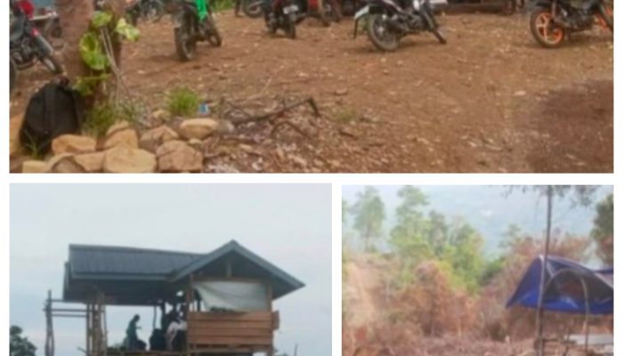 Perambahan Hutan di Puncak Gunung Andoli Balandai Kota Palopo, Berisiko Menimbulkan Longsor