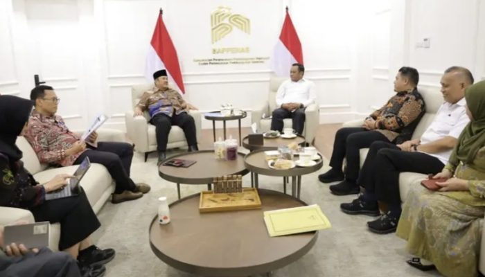 Temui Menteri PPN – Bappenas, Bupati Luwu Harapkan Percepatan Pembangunan Sektor Kesehatan