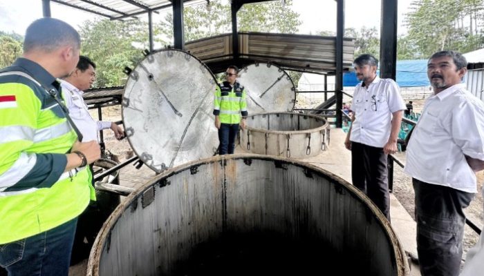 Pemkab Luwu dan Masmindo Kembangkan Potensi Lokal Minyak Nilam di Desa Bonelemo