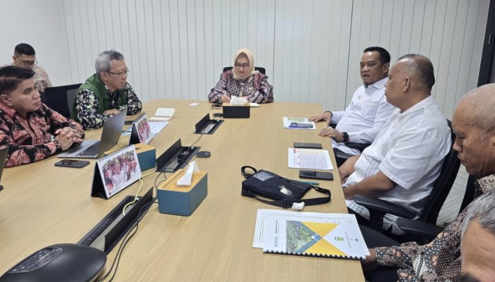 Bupati Luwu Audiensi dengan Deputi Kemenko Pangan Bahas Pengembangan Hortikultura