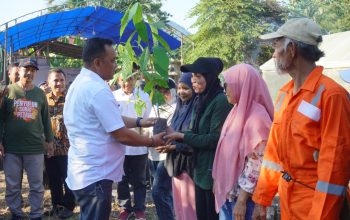 Bangkitkan Ekonomi Daerah, Luwu Fokus Hilirisasi Kakao dan Padi