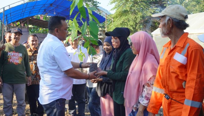 Bangkitkan Ekonomi Daerah, Luwu Fokus Hilirisasi Kakao dan Padi