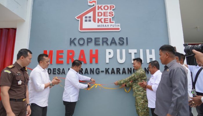 11 Koperasi Merah Putih di Luwu Mulai Beroperasi, UMKM Desa Siap Tumbuh