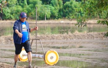 Patahudding Ajak Petani Luwu Maksimalkan Lahan Lewat IP 300